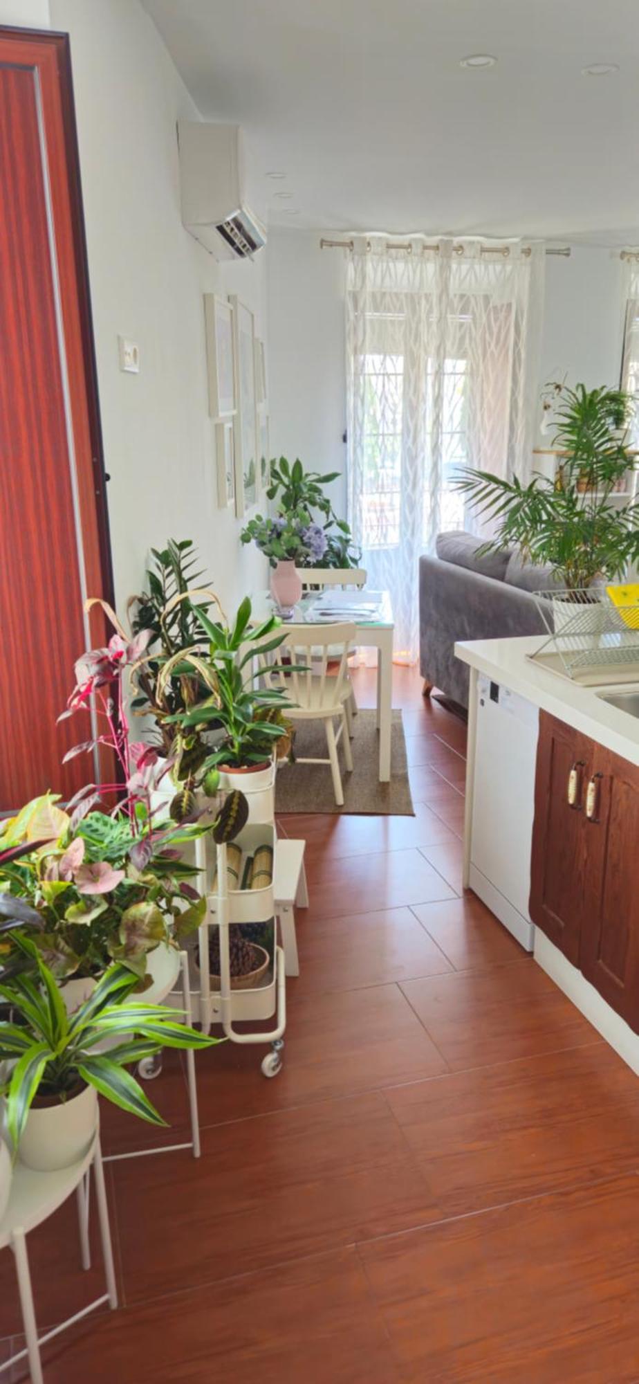 Apartamentos Los Descalzos Angel With Private Terrace Free Parking Ronda Extérieur photo