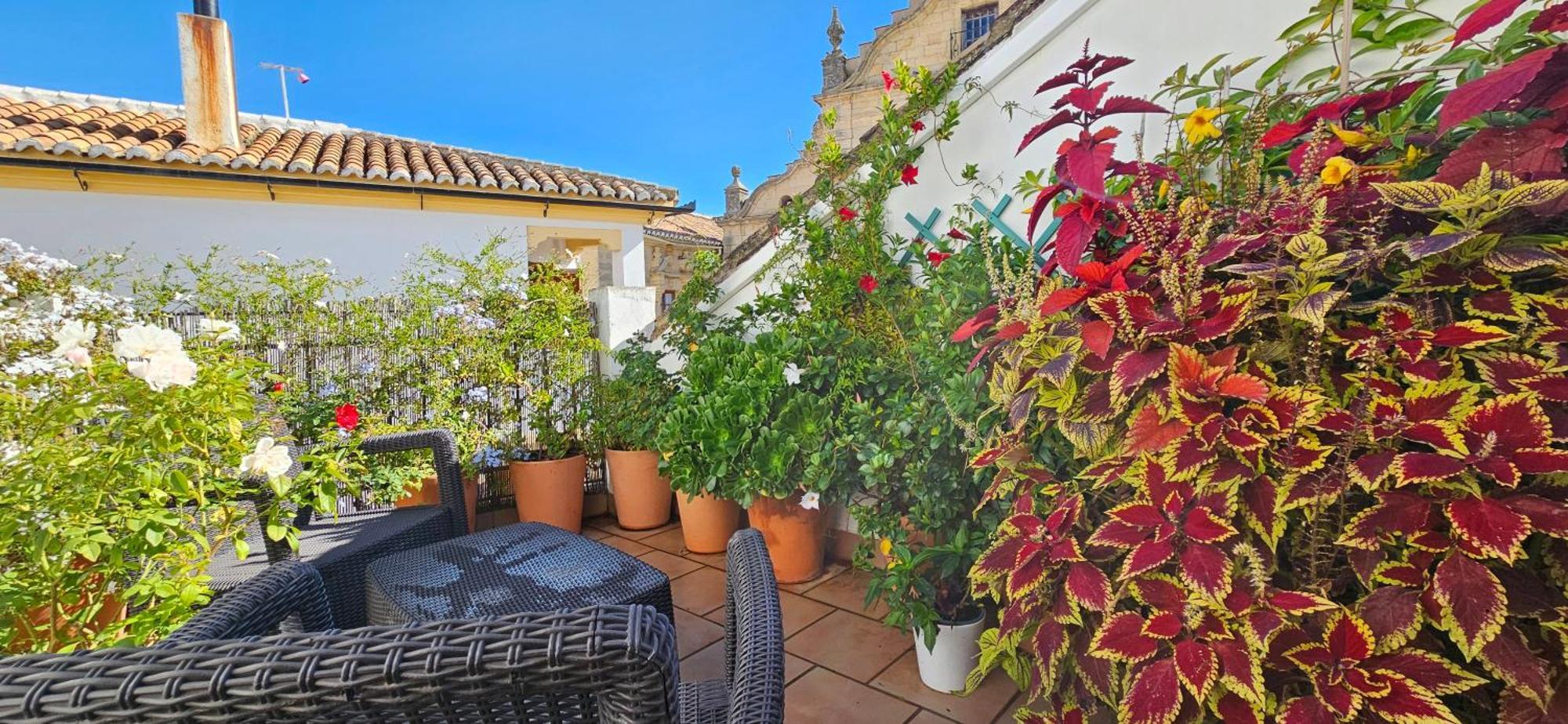 Apartamentos Los Descalzos Angel With Private Terrace Free Parking Ronda Extérieur photo